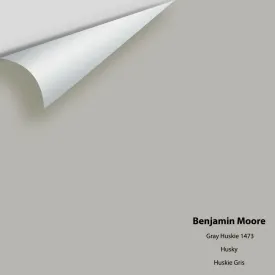 Benjamin Moore - Gray Huskie 1473 Colour Sample