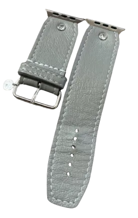 ReSpark*l - Classic Jade Gray with Jade Gray Watchband (Sleek Sivella, Apple Watch 42-49mm)